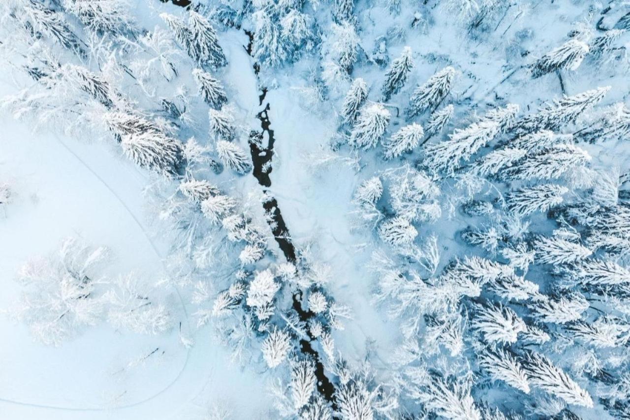 Bel Air - Proprietes Mont Amour Montriond Kültér fotó